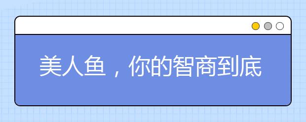 美人魚，你的智商到底有多高？