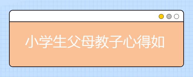 小学生父母教子心得如何做一名合格的小学生家长?