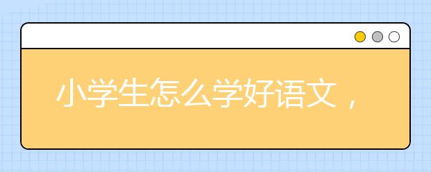 小学生怎么学好语文，学好语文的方法及技巧