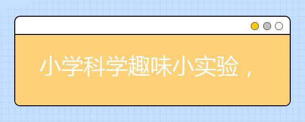 小学科学趣味小实验，12个小学生最爱的趣味科学实验