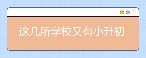 這幾所學校又有小升初動態(tài)，哪些學校正在招生？【特別關注】