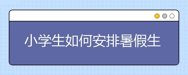 小学生如何安排暑假生活？小学生暑假作业清单及作息时间表