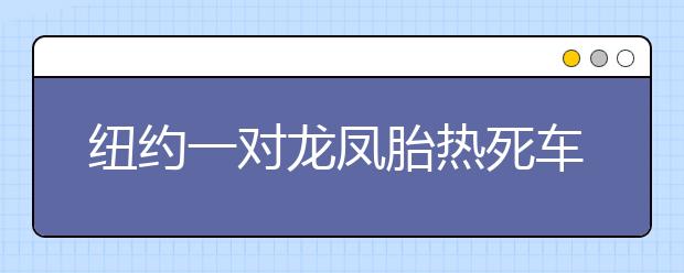 紐約一對龍鳳胎熱死車中，預(yù)防孩子被困車內(nèi)8大準(zhǔn)則要牢記