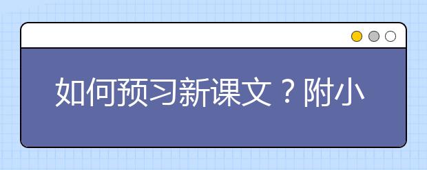 如何预习新课文？附小学生各年级高效语文预习方法