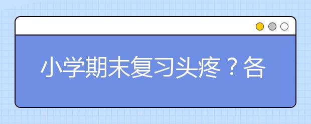 小學(xué)期末復(fù)習(xí)頭疼？各個(gè)學(xué)科復(fù)習(xí)方法來(lái)幫你!