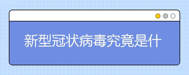 新型冠状病毒究竟是什么？一图讲明白（附防护措施）