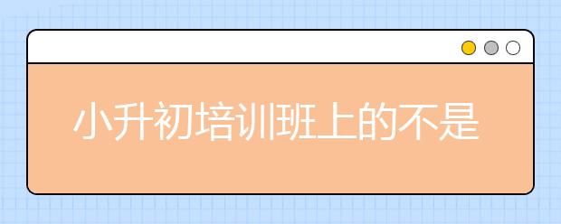 小升初培訓(xùn)班上的不是培訓(xùn)