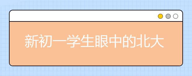 新初一学生眼中的北大附是什么样子