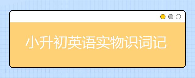 小升初英语实物识词记忆法