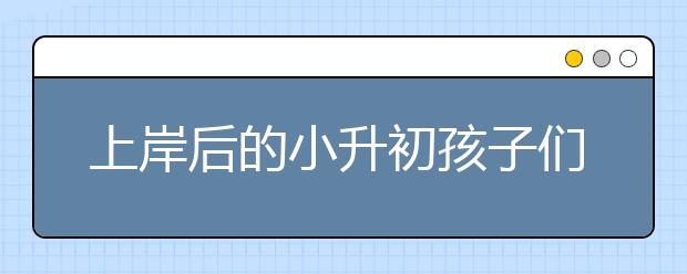 上岸后的小升初孩子们该学些什么？