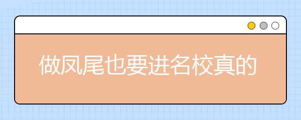 做鳳尾也要進名校真的好嗎？