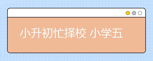 小升初忙擇校 小學(xué)五年級更顯緊張