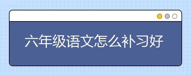 六年級(jí)語(yǔ)文怎么補(bǔ)習(xí)好？六年級(jí)語(yǔ)文補(bǔ)習(xí)方法有哪些？