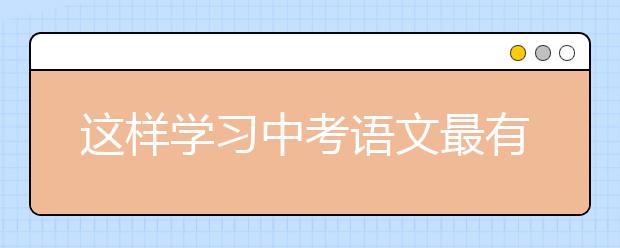 這樣學(xué)習(xí)中考語文最有效果