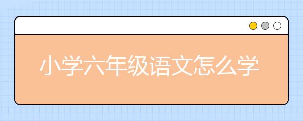 小学六年级语文怎么学？怎么复习？怎么辅导？