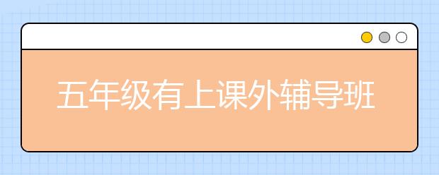 五年级有上课外辅导班的必要吗？