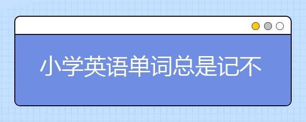 小學(xué)英語單詞總是記不住怎么辦？