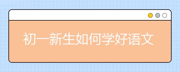 初一新生如何學好語文打好基礎