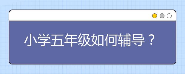 小學(xué)五年級如何輔導(dǎo)？怎樣輔導(dǎo)小學(xué)五年級語文閱讀？