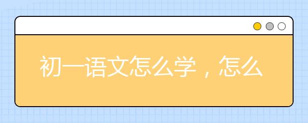 初一语文怎么学，怎么学初一语文打好基础？