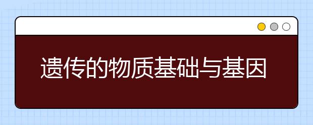 遗传的物质基础与基因表达