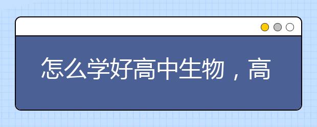 怎么学好高中生物，高中生物成绩如何提升