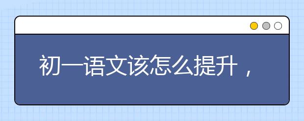 初一语文该怎么提升，怎么学好初一语文？