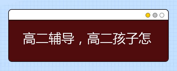 高二辅导，高二孩子怎么辅导