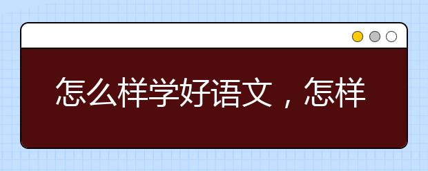 怎么样学好语文，怎样才能学好语文提高成绩