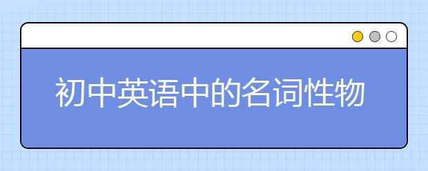 初中英语中的名词性物主代词