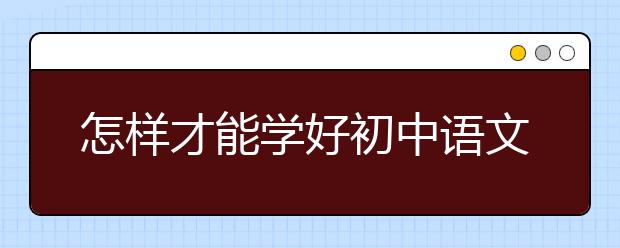 怎样才能学好初中语文，学好初中语文的方法