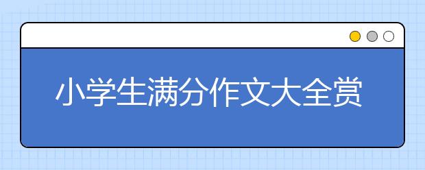 小学生满分作文大全赏析，小学生满分作文精选