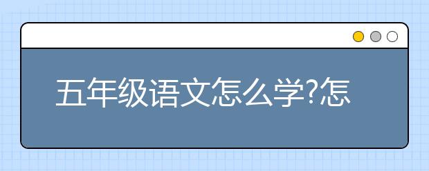 五年级语文怎么学?怎么提高五年级语文水平？