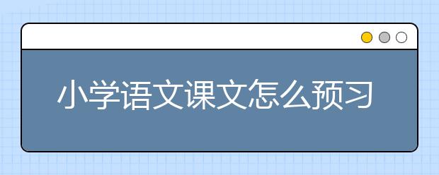 小学语文课文怎么预习？如何学好小学语文课文？