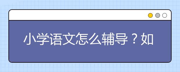 小学语文怎么辅导？如何提高语文成绩？