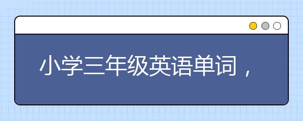 小学三年级英语单词，三年级英语单词表