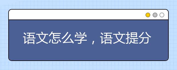 语文怎么学，语文提分小技巧