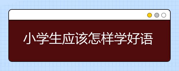 小学生应该怎样学好语文，小学语文学习方法介绍