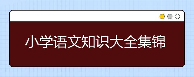 小学语文知识大全集锦，小学语文复习资料大全