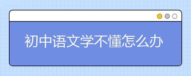 初中語文學不懂怎么辦，初中語文如何學好得高分