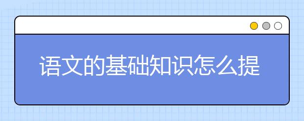 语文的基础知识怎么提高？