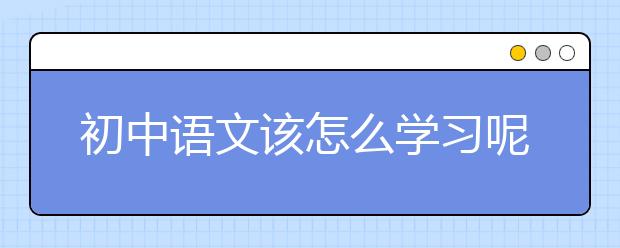 初中语文该怎么学习呢，初中语文怎么拿高分