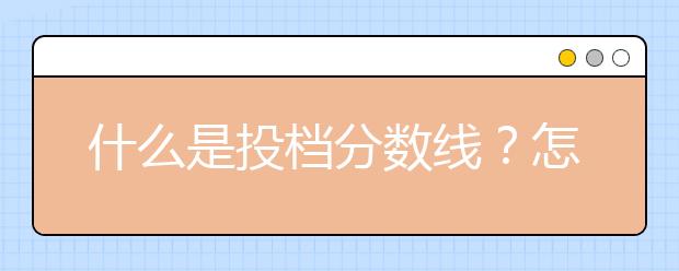 什么是投档分数线？怎么查询？