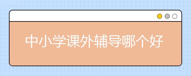 中小学课外辅导哪个好，怎么选择收费价格多少钱