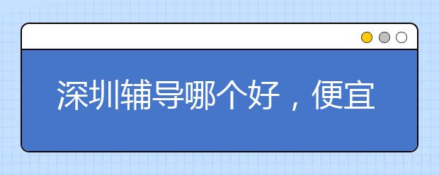 深圳辅导哪个好，便宜的收费标准多少钱