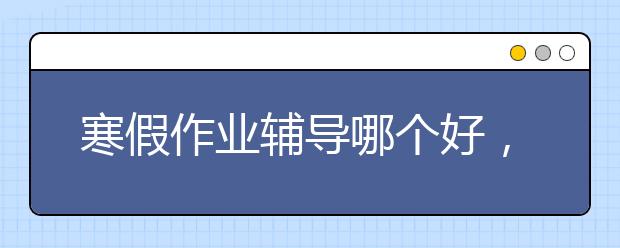 寒假作业辅导哪个好，收费标准价格多少钱