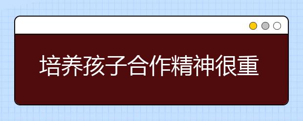 培养孩子合作精神很重要