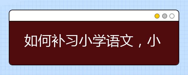 如何补习小学语文，小学语文要怎么学习