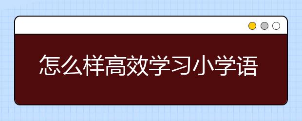 怎么样高效学习小学语文，小学语文高效学习方法