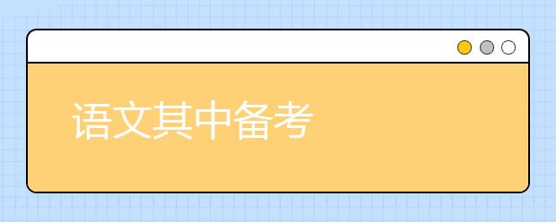 语文其中备考